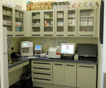 Quail Animal Hospital