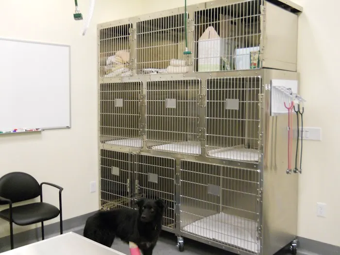 Quail Animal Hospital 8