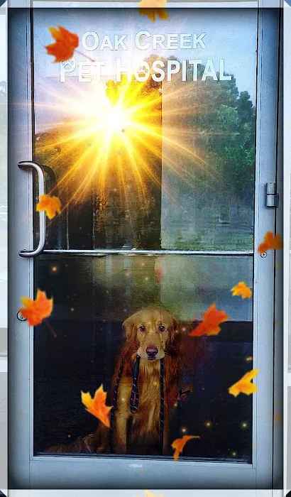 Oak Creek Pet Hospital 3