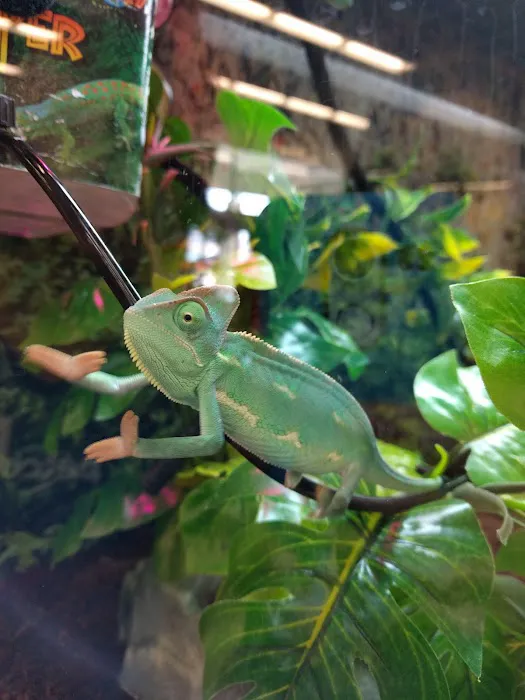 Petco 12