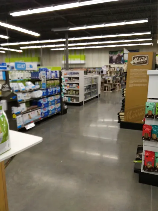 Petco 12