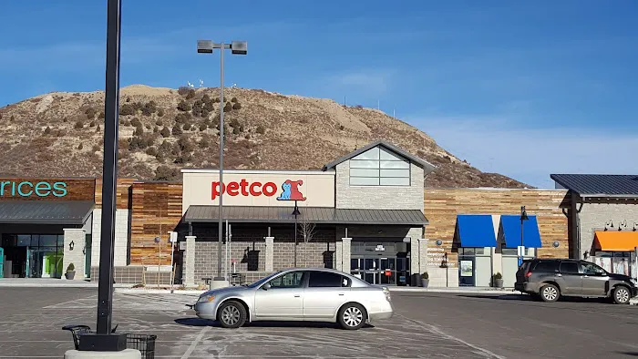 Petco 12