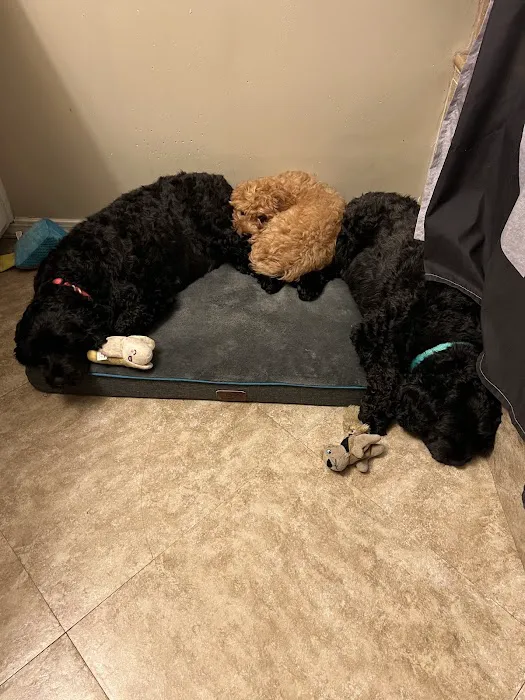 South Bay Veterinary Care ( Veterinary Hospital ) 10