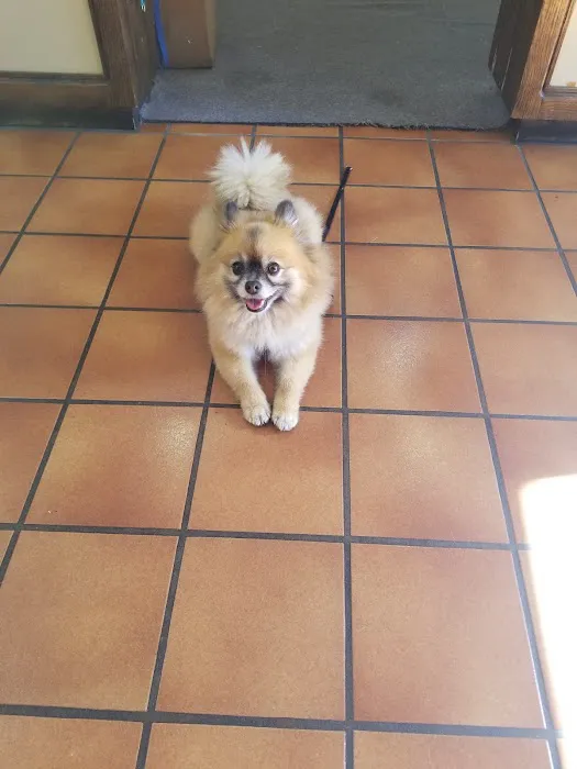South Bay Veterinary Care ( Veterinary Hospital ) 3