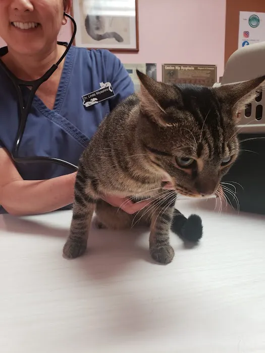 South Bay Veterinary Care ( Veterinary Hospital ) 4