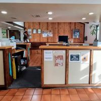 South Bay Veterinary Care ( Veterinary Hospital ) ico
