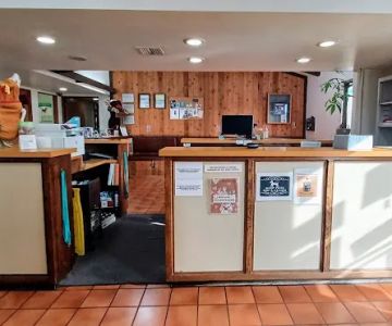 South Bay Veterinary Care ( Veterinary Hospital )