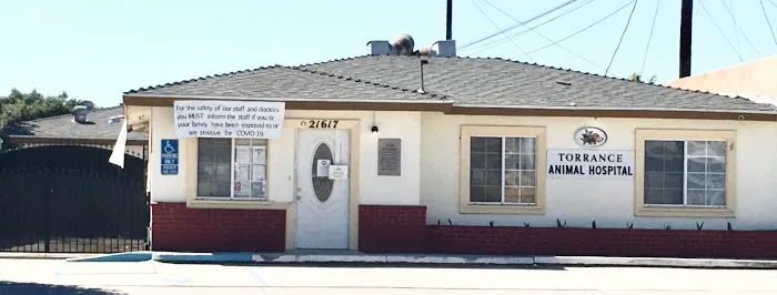 Torrance Animal hospital 12