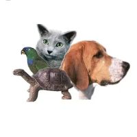 Torrance Animal hospital ico