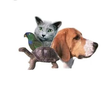Torrance Animal hospital