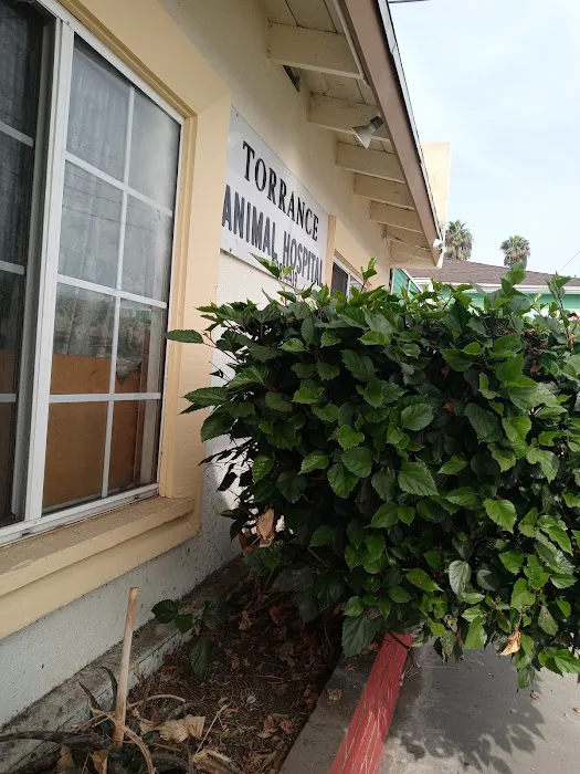 Torrance Animal hospital 12