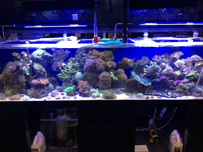 GREAT BARRIER REEF 12
