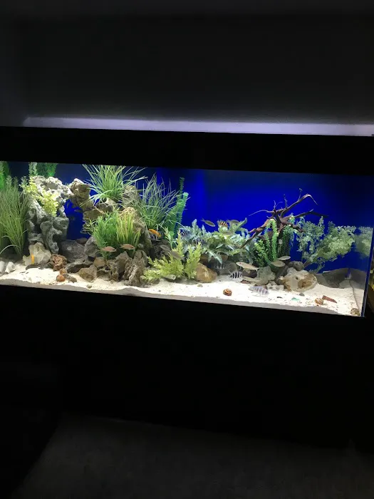 GREAT BARRIER REEF 12