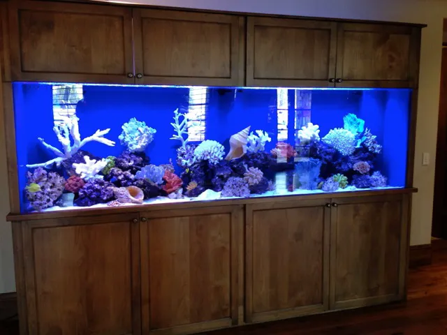 GREAT BARRIER REEF 12