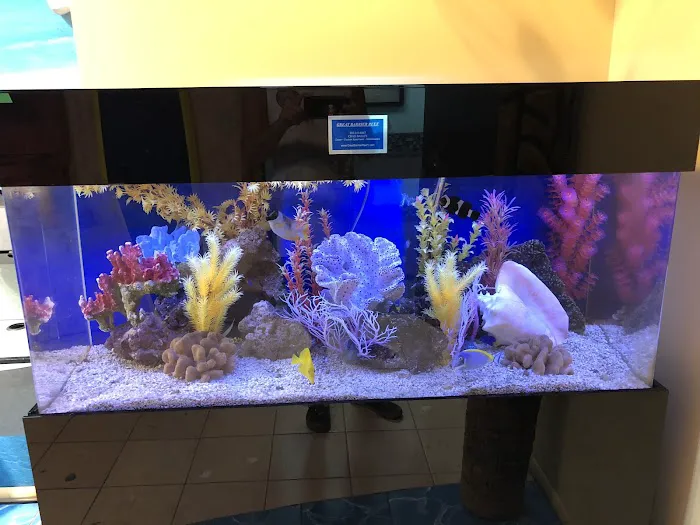 GREAT BARRIER REEF 12