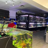MC Aquatics - Englewood ico
