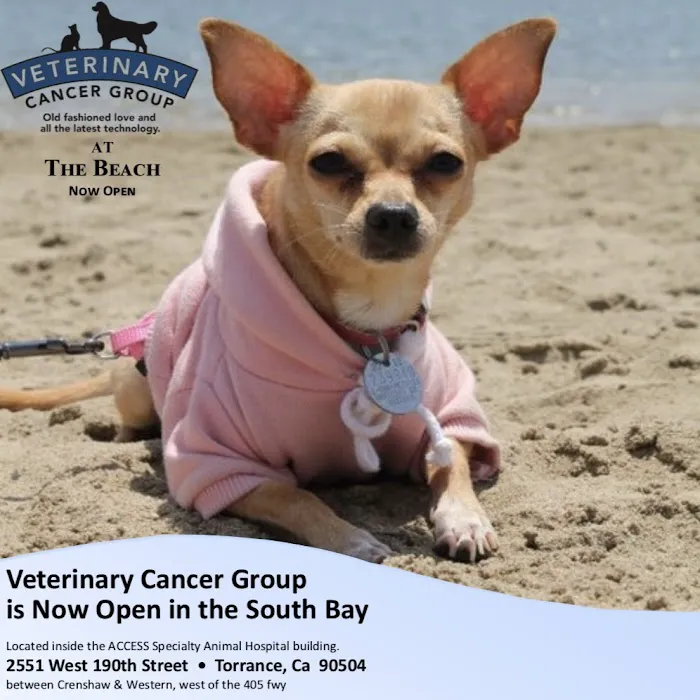 Veterinary Cancer Group SB, A Thrive Pet Healthcare Partner 6