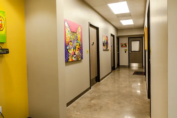 ACCESS South Bay 1