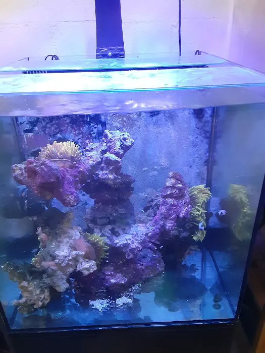 Aqua Culture 12