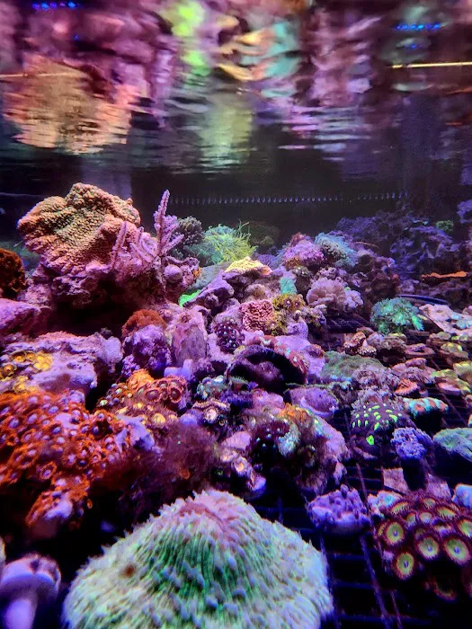 Aqua Culture 12