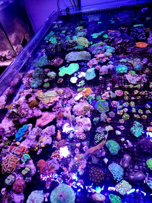 Aqua Culture 12