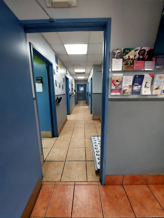 Torrance Companion Animal Hospital 12