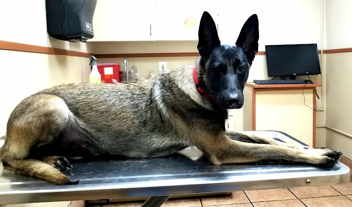 Torrance Companion Animal Hospital 12