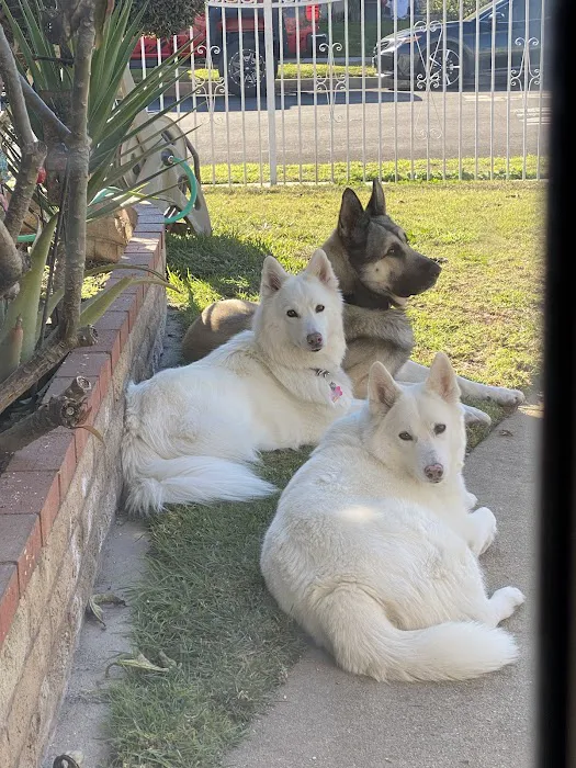 Torrance Companion Animal Hospital 12
