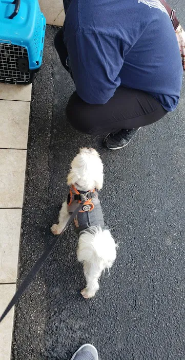 Torrance Companion Animal Hospital 12