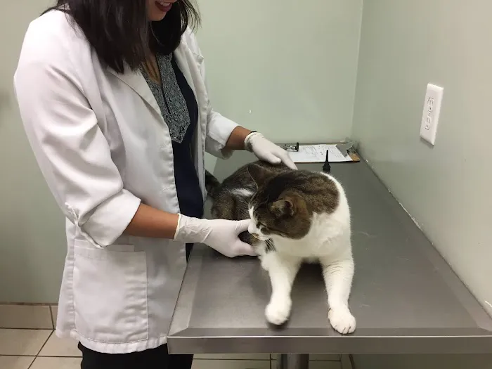 Ohana veterinarian clinic 12