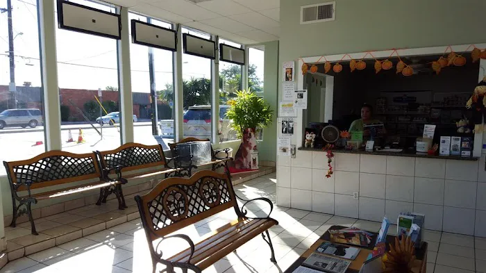 Ohana veterinarian clinic 12
