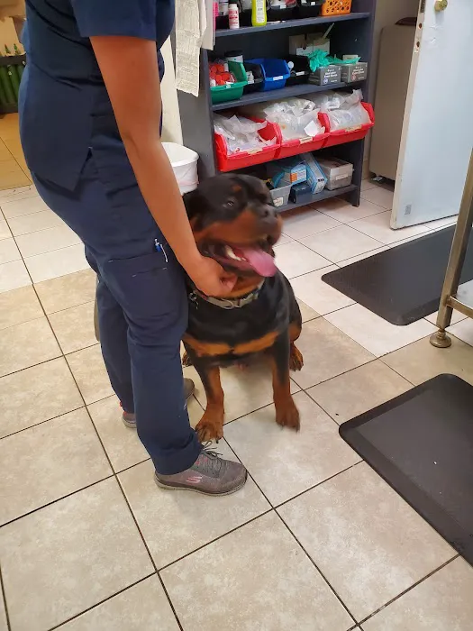 Ohana veterinarian clinic 12
