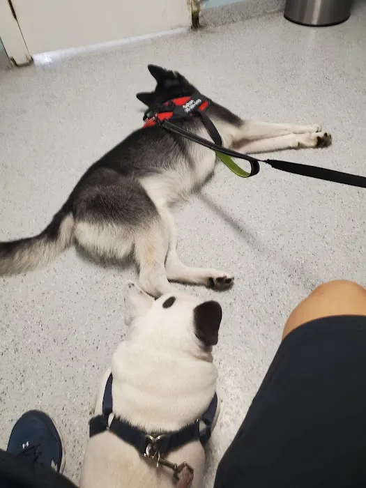 Ohana veterinarian clinic 12