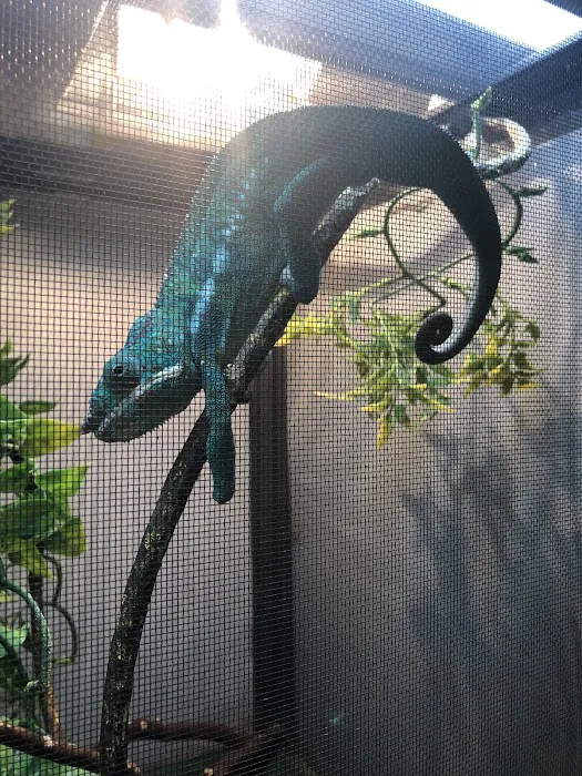 Parker Exotic Pets 7