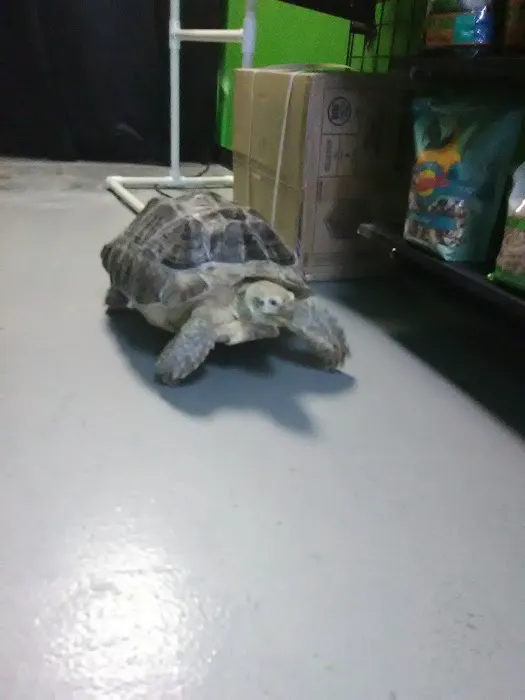 Parker Exotic Pets 6