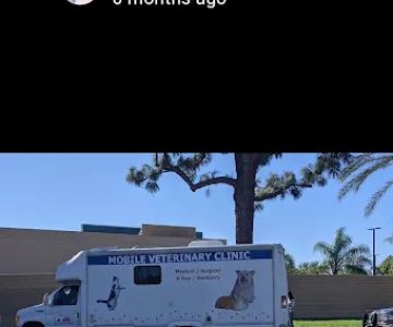 Mobile Pet Clinic