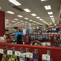 Petco ico