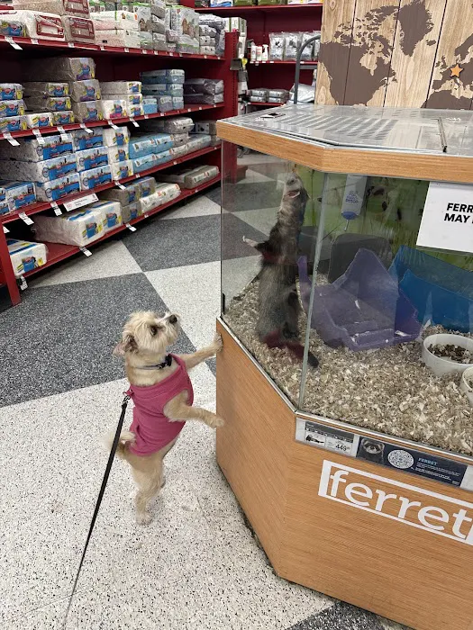 Petco 12