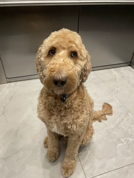 Petco 12
