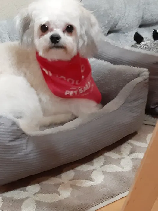 Petco 12