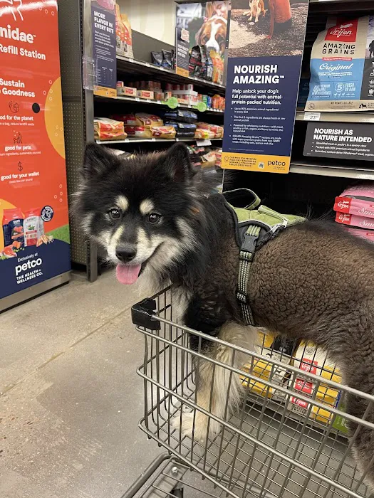 Petco 12