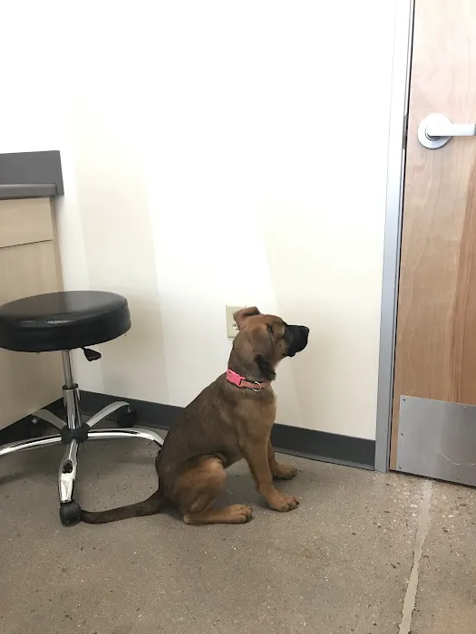 Petco 12