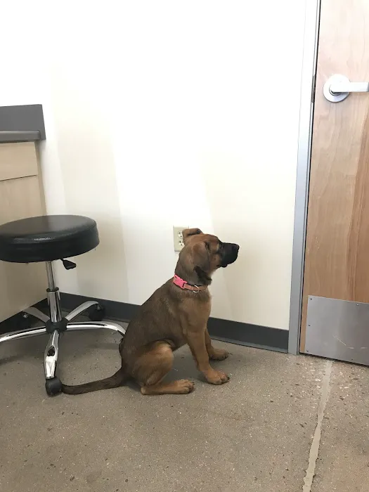 Petco 12