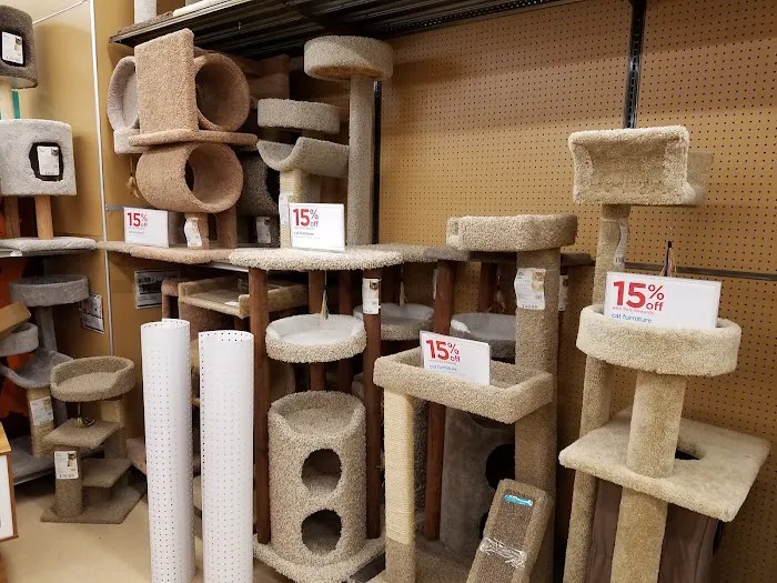 Petco 12