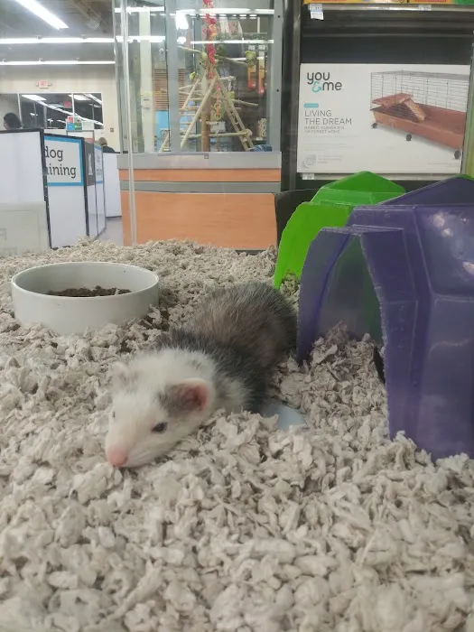 Petco 12