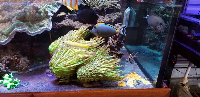 Aquatic Art Inc. 12