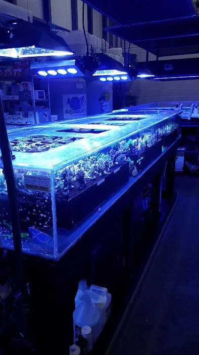 Aquatic Art Inc. 12