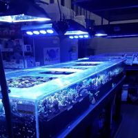 Aquatic Art Inc. ico