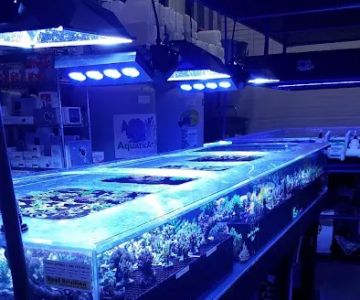 Aquatic Art Inc.