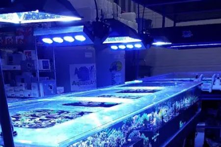 Aquatic Art Inc.